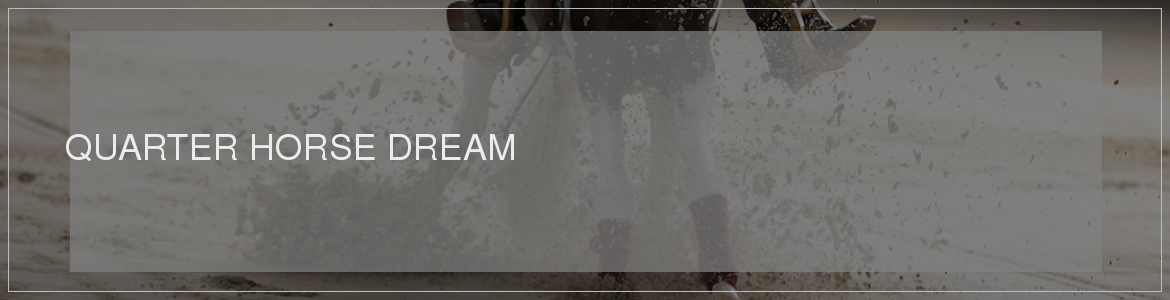 QUARTER HORSE DREAM